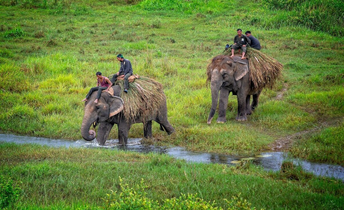 places to visit in Chitwan Nepal, narayangarh chitwan nepal, chitwan nepal, 